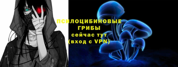 дживик Бородино
