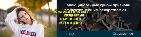 дживик Бородино