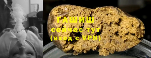 дживик Бородино