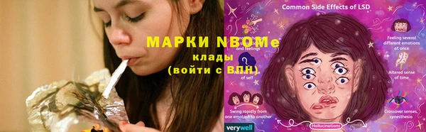 дживик Бородино
